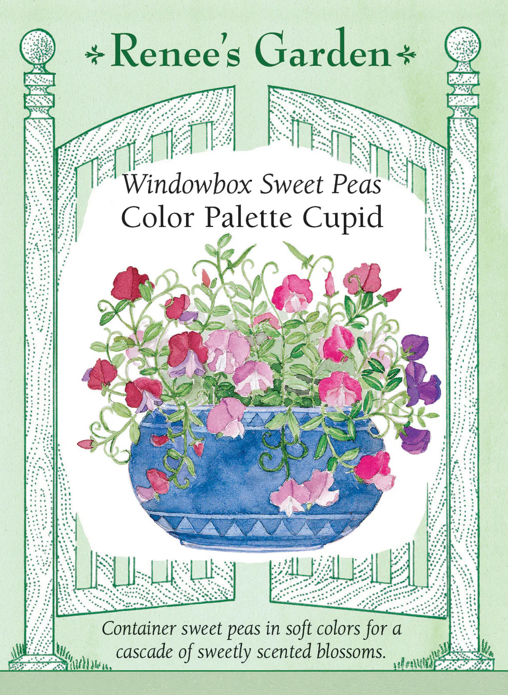 Sweet Pea Color Palette Cupid Windowbox