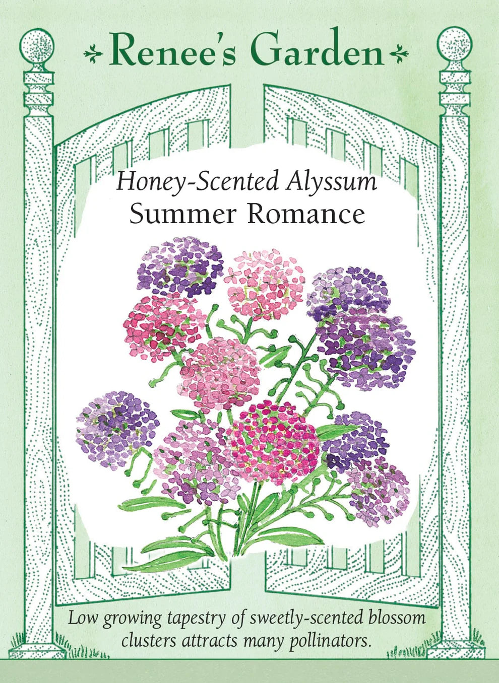 Alyssum Summer Romance Mix