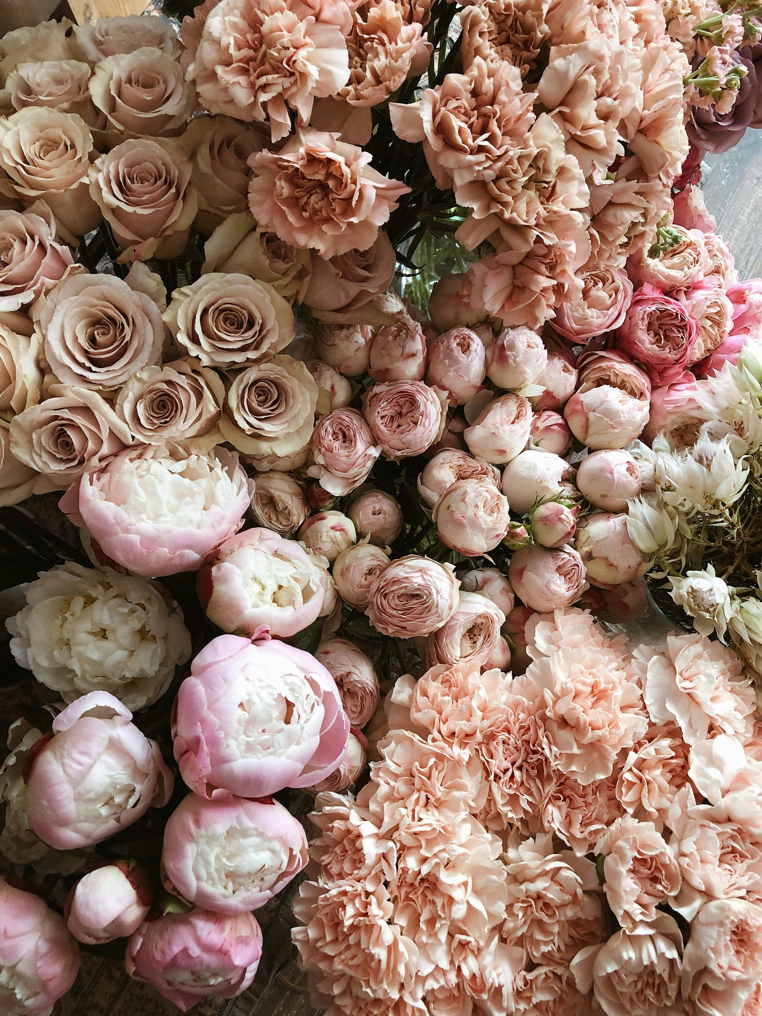 Perennials