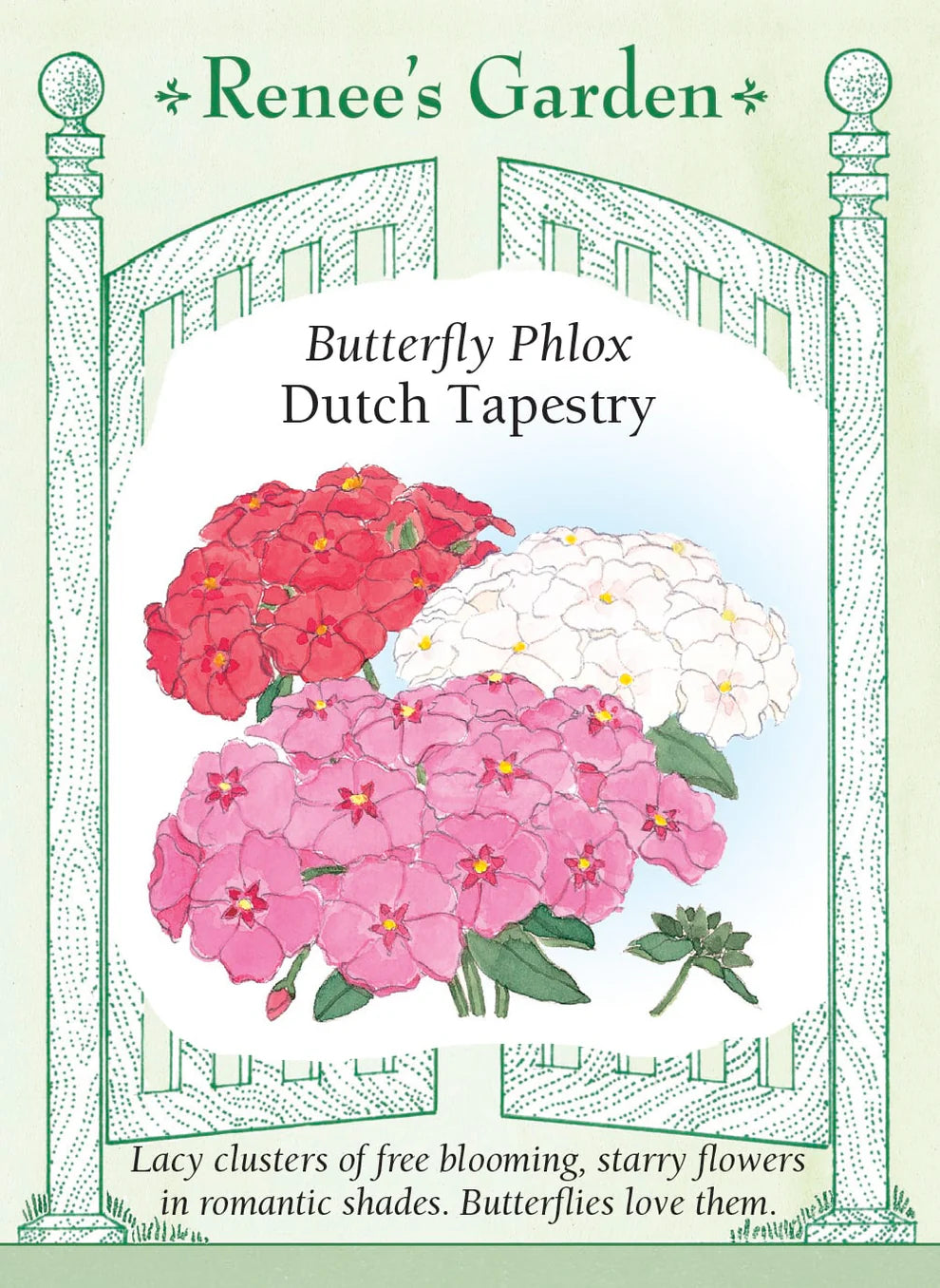 Phlox Dutch Tapestry mix seeds