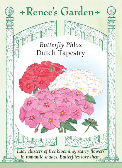 Phlox Dutch Tapestry mix seeds