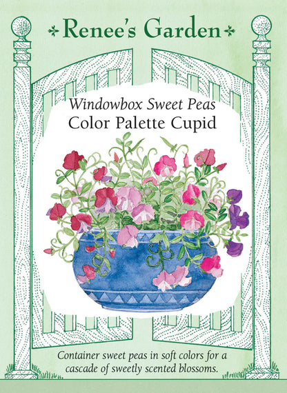 Sweet Pea Color Palette Cupid Windowbox