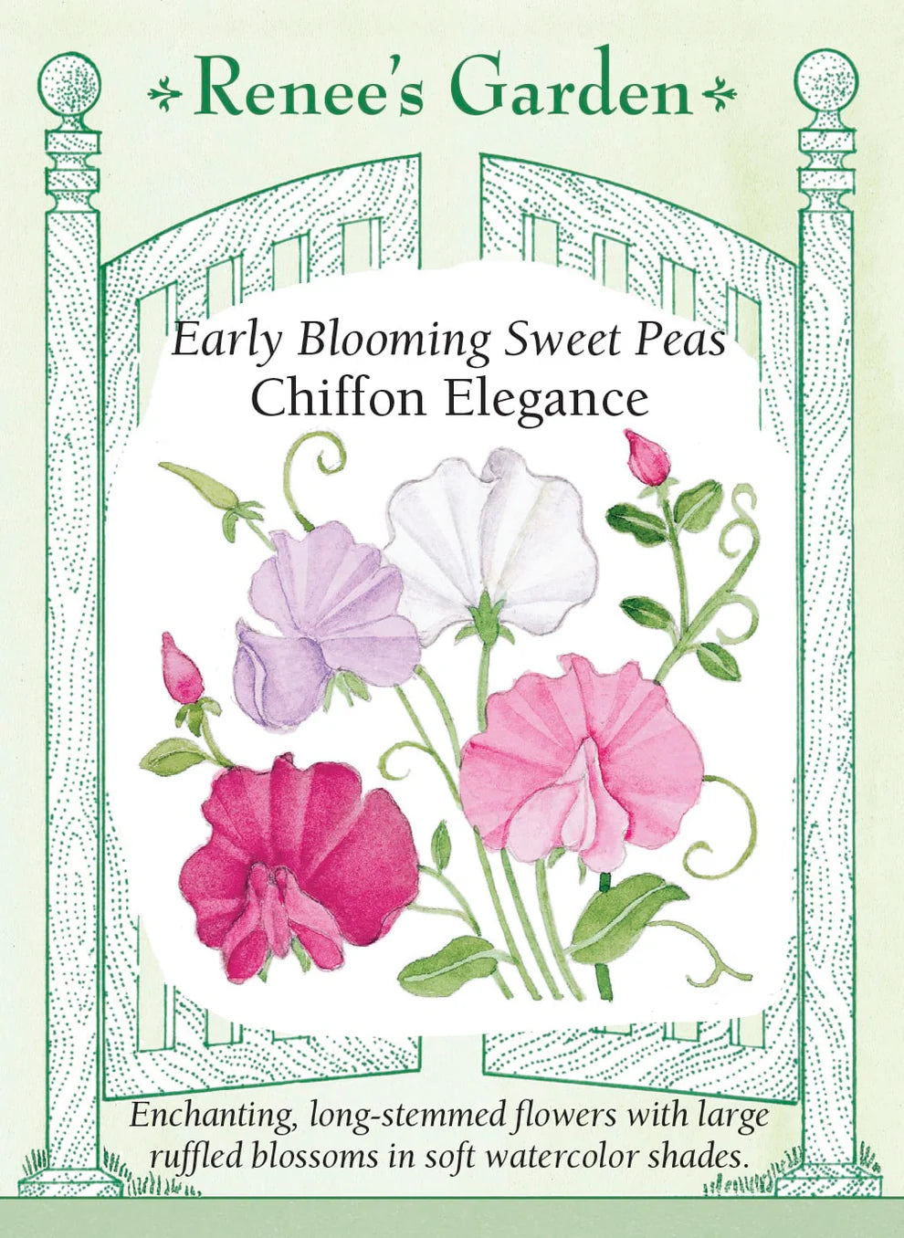 Sweet Pea Chiffon Elegance' seeds