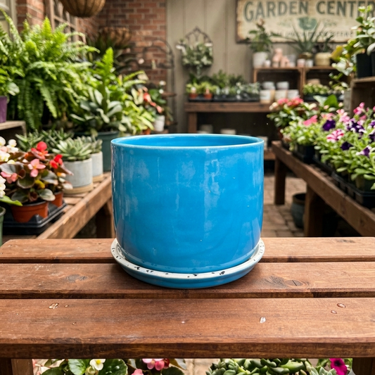 Indoor planter by Kate